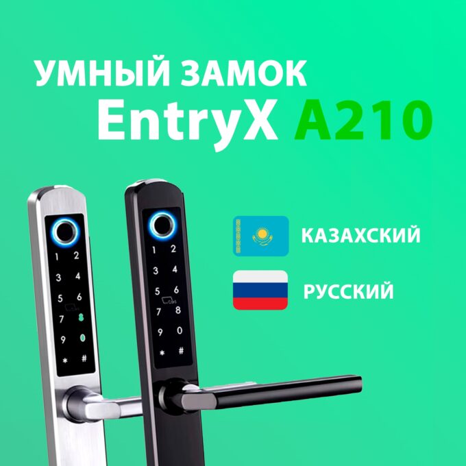 Электронный замок EntryX A210